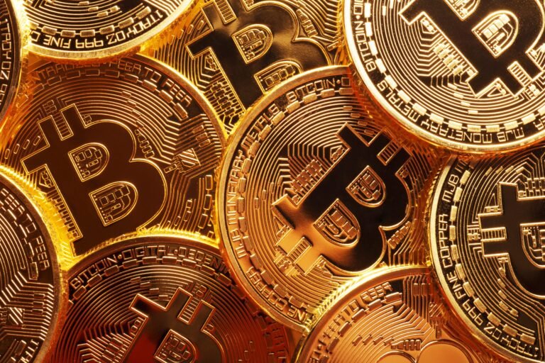 Bitcoin Maximalism: Core Ideas, Arguments and Criticism