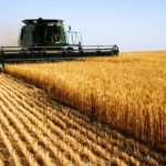 What is “agflation” and how does it work?