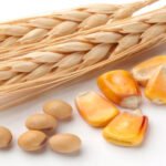 Soybeans, wheat and corn as trading assets
