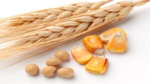 Soybeans, wheat and corn as trading assets
